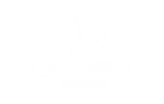 Caravela Seguros